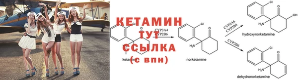 прущие грибы Карпинск