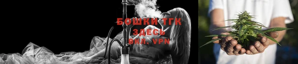 прущие грибы Карпинск