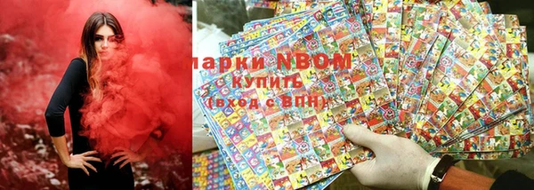 прущие грибы Карпинск