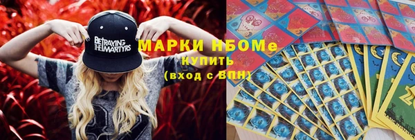 прущие грибы Карпинск